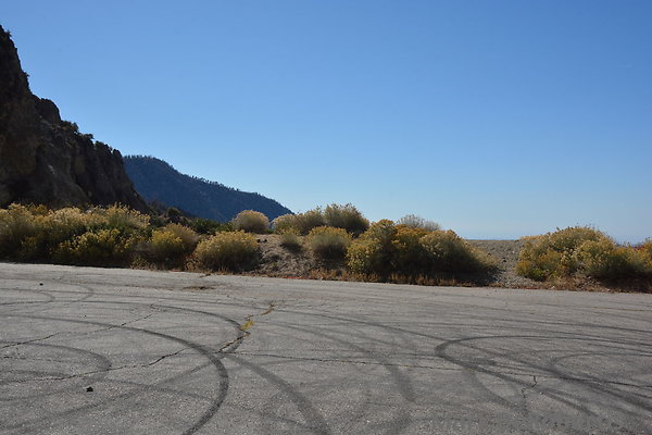 MDR 3695 - 35mm MDR 3695 - 35mm