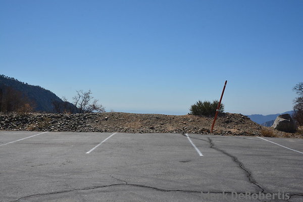 MDR 4125 - 12 Noon MDR 4125 - 12 Noon