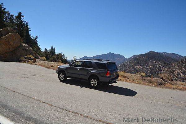 MDR 4254 x MDR 4254 x