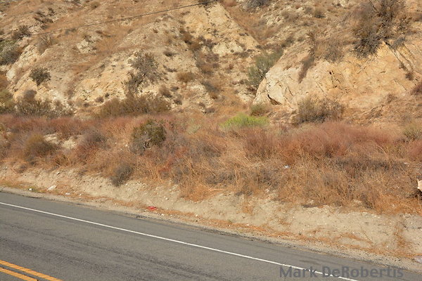 MDR 4515 - 10am MDR 4515 - 10am