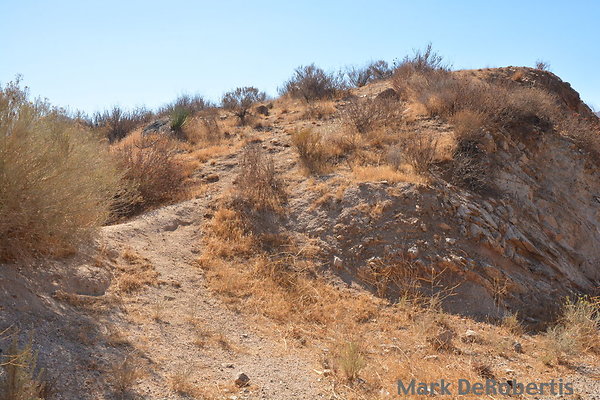 MDR 4735 - 35mm MDR 4735 - 35mm