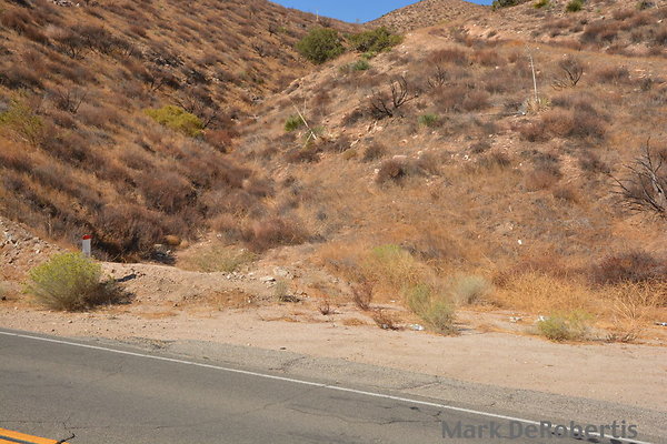 MDR 4737 - 11am MDR 4737 - 11am