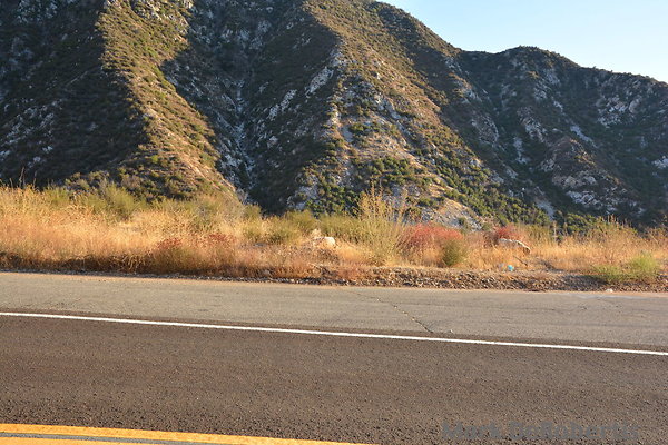 MDR 5849 - 35mm MDR 5849 - 35mm