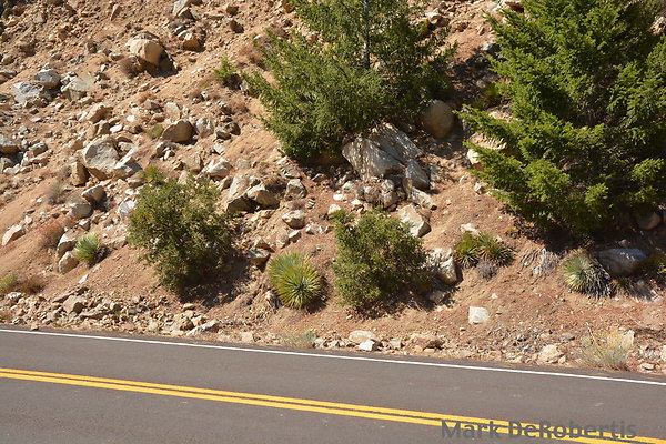 MDR 5191 - 1pm MDR 5191 - 1pm