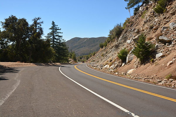 MDR 5190 - 240deg MDR 5190 - 240deg