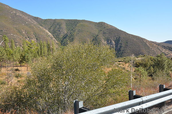 MDR 5322 - 35mm MDR 5322 - 35mm