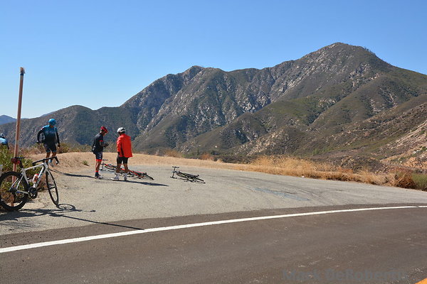 MDR 5146 - 240deg MDR 5146 - 240deg