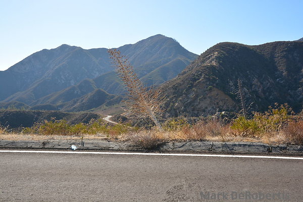 MDR 5473 - 3pm MDR 5473 - 3pm