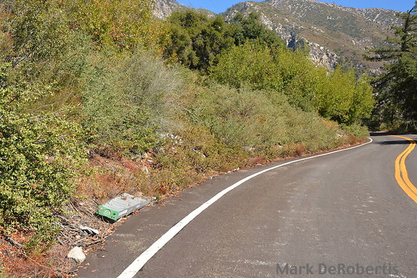 MDR 7168 MDR 7168