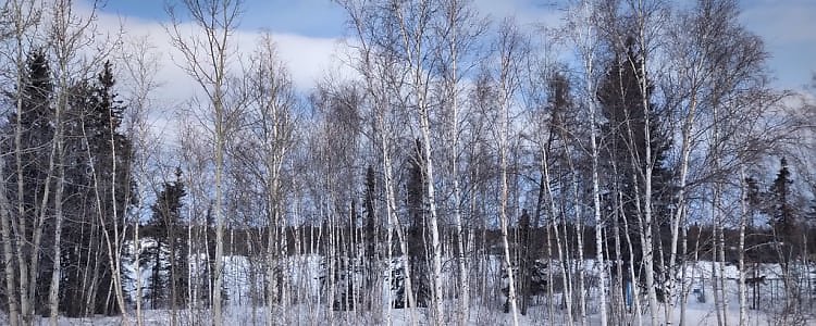 Highway 3