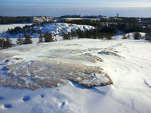 Fred Henne Territorial Park