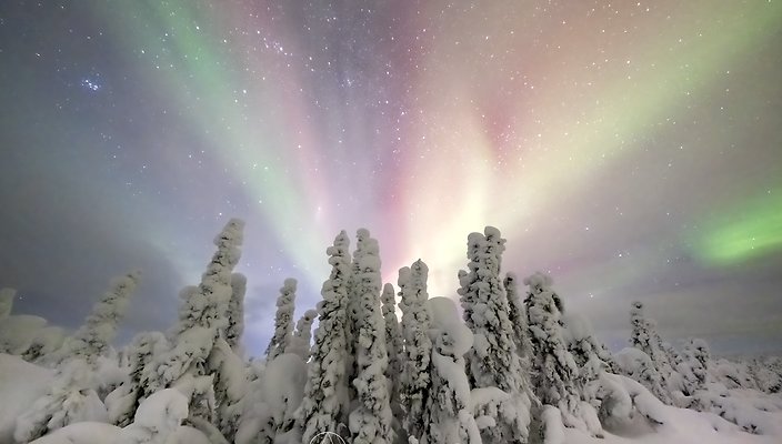 02 Alaska