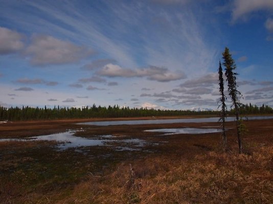 Petersville and Scotty Lake (Talkeetna) 8