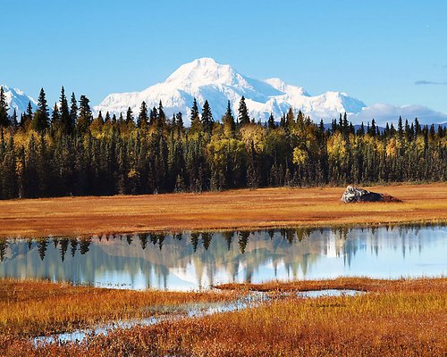 Petersville and Scotty Lake (Talkeetna) 7