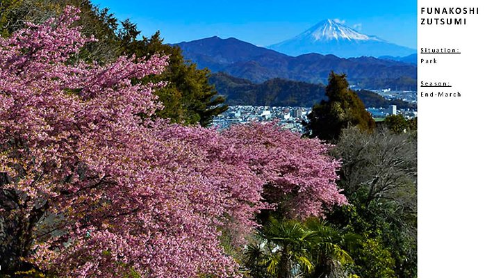 IMI Cherryblossom LocationReference 1214 Page 23