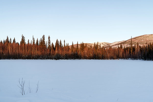 02 Alaska Aurora scouting