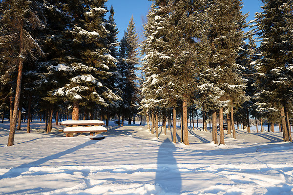 Ice Fishing 39