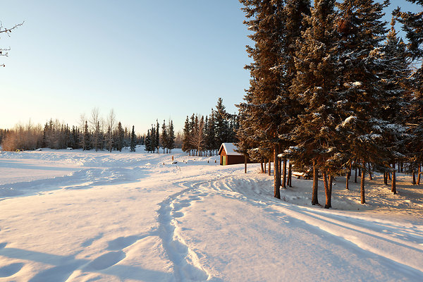 Ice Fishing 36