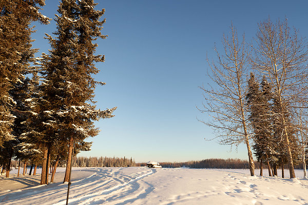 Ice Fishing 38