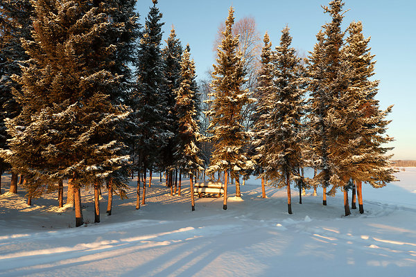 Ice Fishing 31