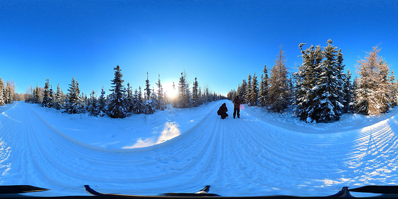 Black Spruce Biking Trail