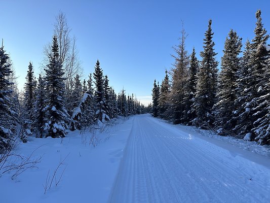Black Spruce Biking Trail  10