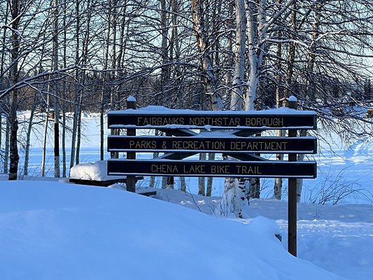 Black Spruce Biking Trail  6