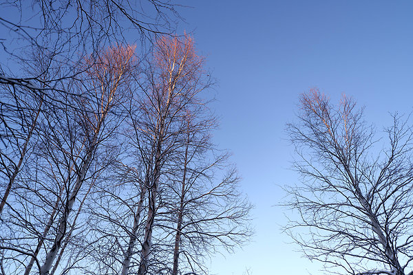 Camp Site Stills 13