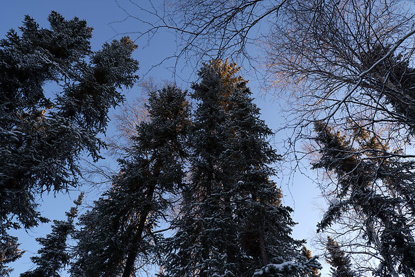 Camp Site Stills 12