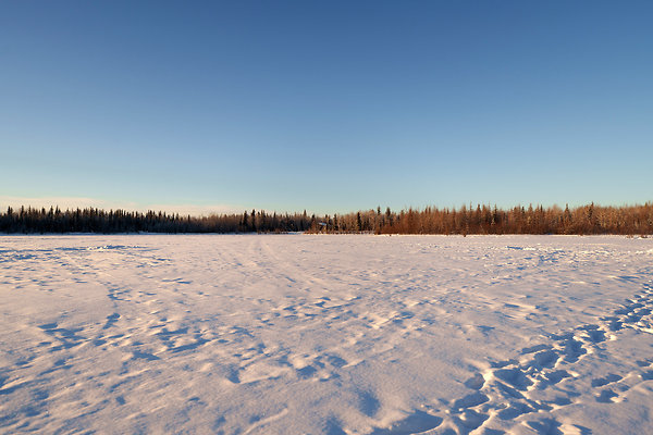 Camp Site Stills 16