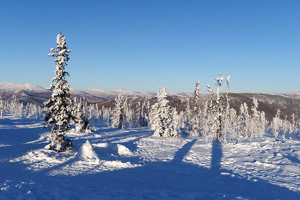 Top of the mountain  51