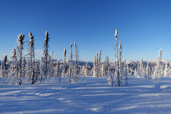 Top of the mountain  76