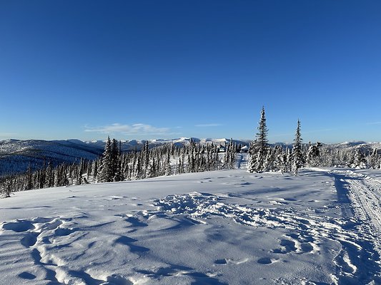 Top of the mountain  12