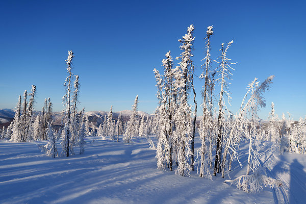 Top of the mountain  77