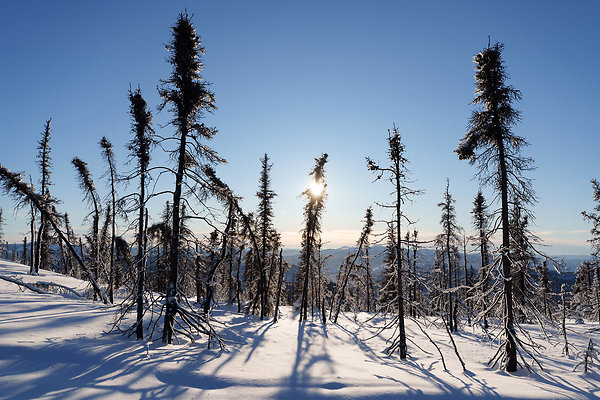 Top of the mountain  44