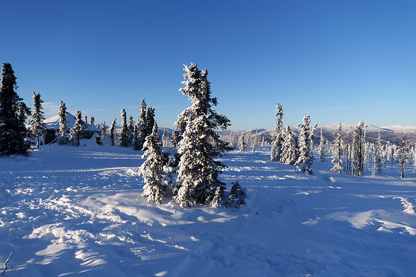 Top of the mountain  58