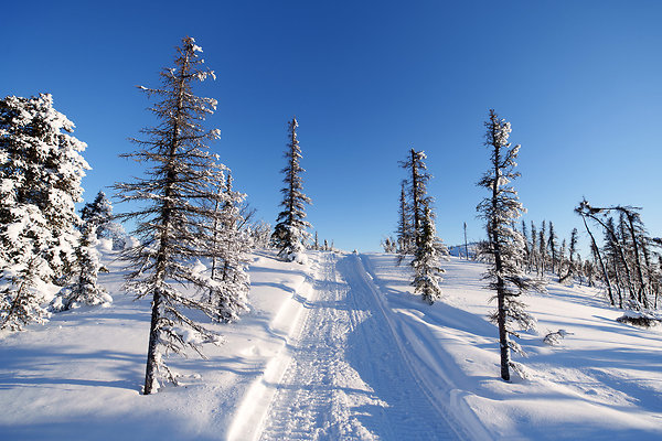 Top of the mountain  47