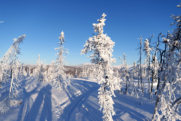 Top of the mountain  78