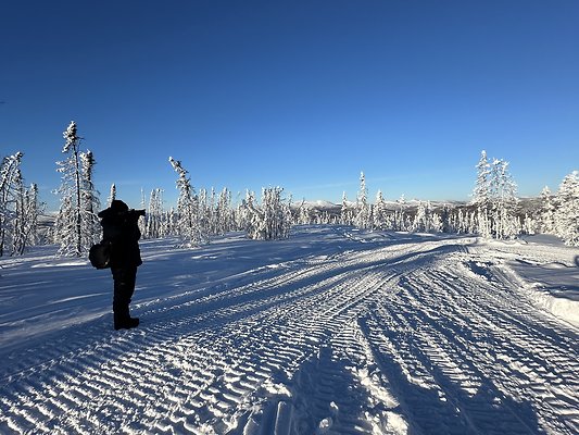 Top of the mountain  15