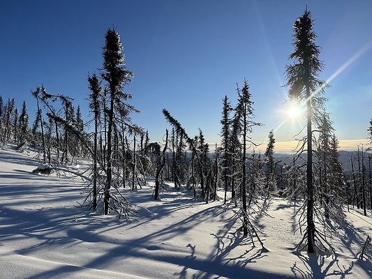Top of the mountain  19