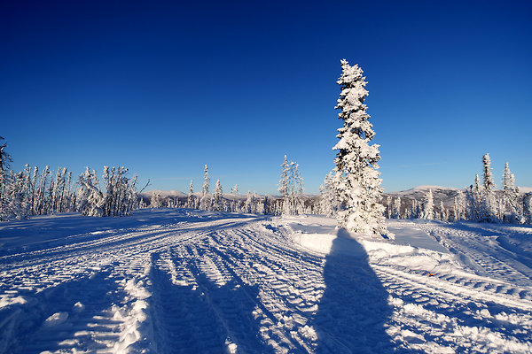 Top of the mountain  81