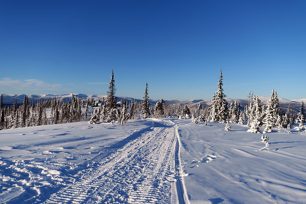 Top of the mountain  42