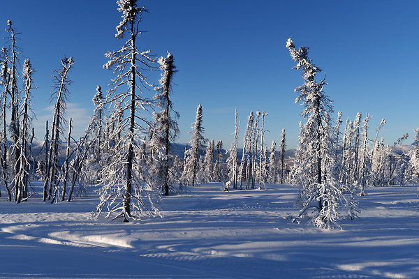 Top of the mountain  84