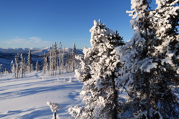 Top of the mountain  75