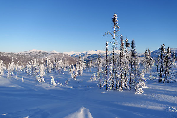 Top of the mountain  56