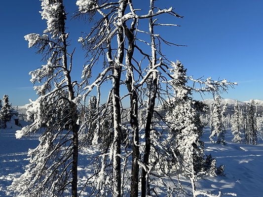 Top of the mountain  31