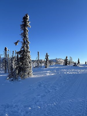 Top of the mountain  13