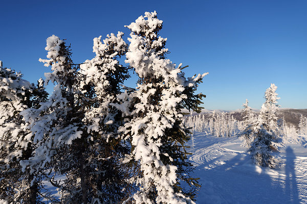 Top of the mountain  74