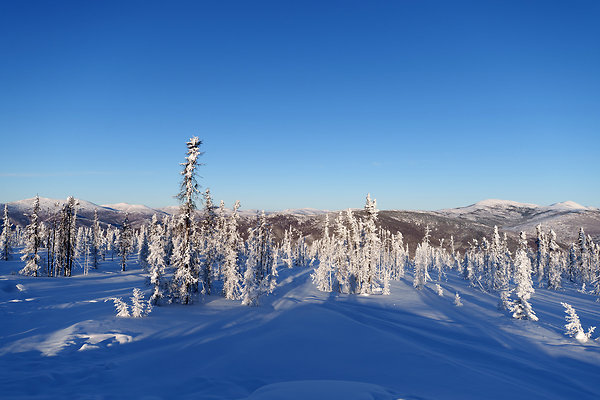 Top of the mountain  57