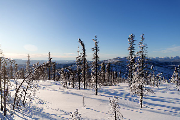 Top of the mountain  71